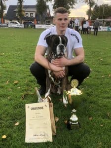 Boxer von der Kleinen Hexe im Porträt