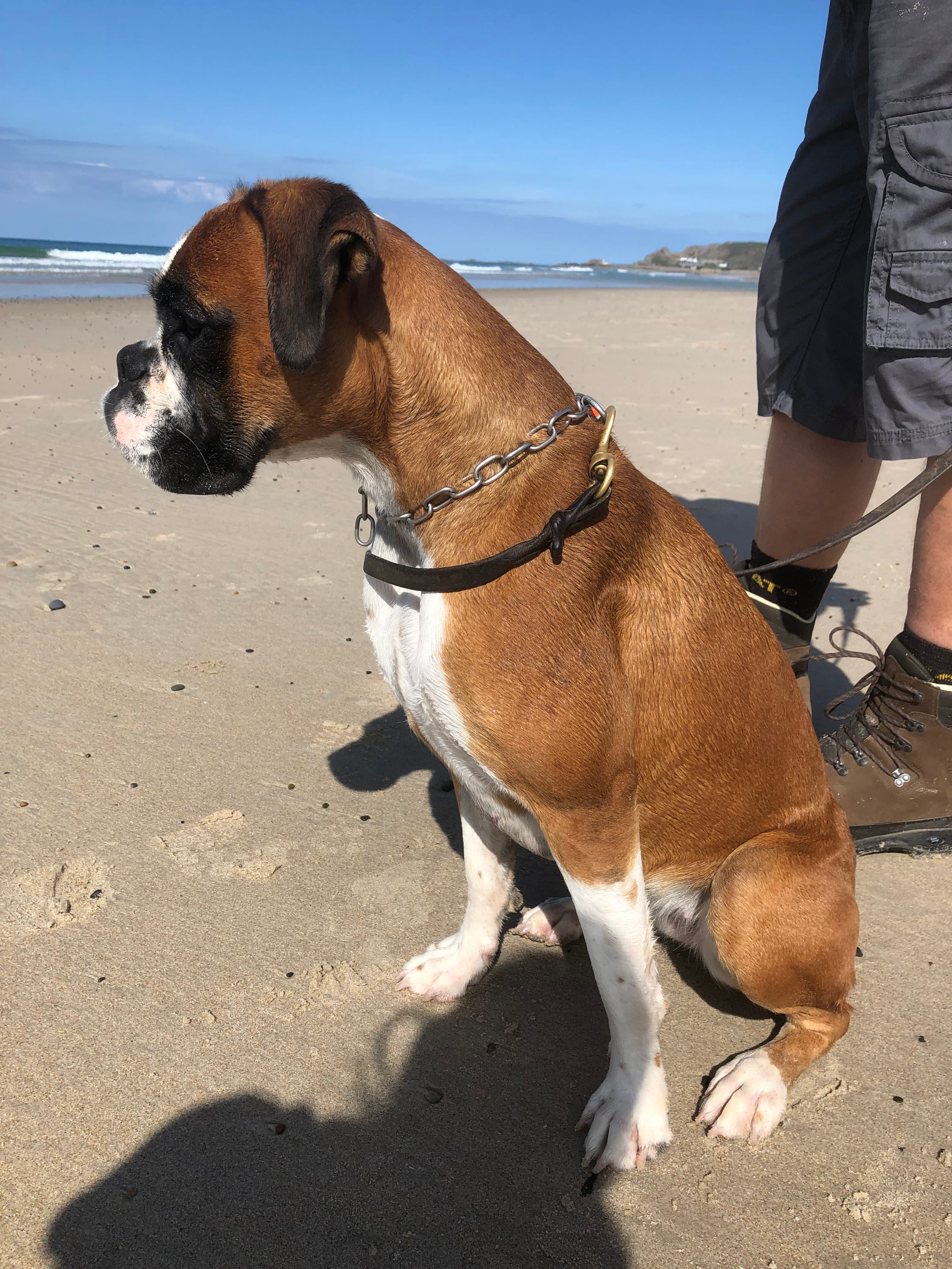 Bild von Vanta v.d. Frankenburg